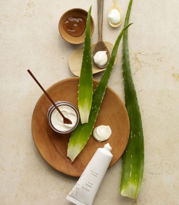 9829669a243b60425a379901662dab82